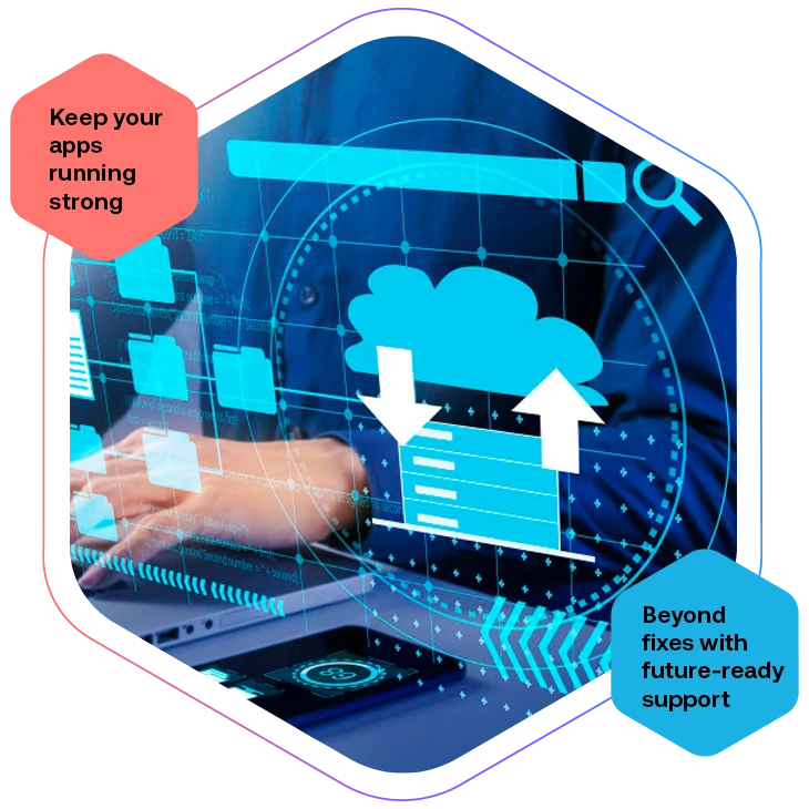 Expert application maintenance and support for long-term success